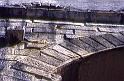 le coq du Pont du Gard